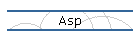 Asp